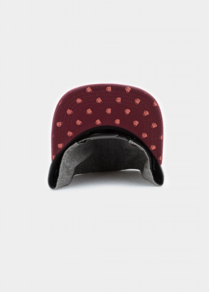 "Wochinger" - grau (Snapback)